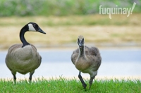 mom-and-babe