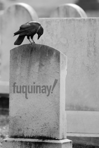 mournful-crow-bw