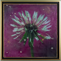 wet dande 2  12x12