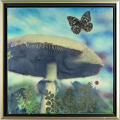 shroom 12x12