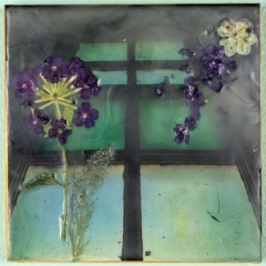broken window  6x6