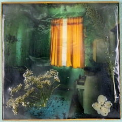 yellow curtains  6x6