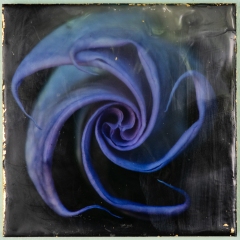 datura 7 6x6