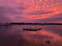 marina-sunset-2