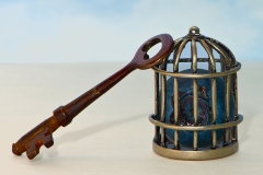 i-know-why-the-caged-blueberry-sings